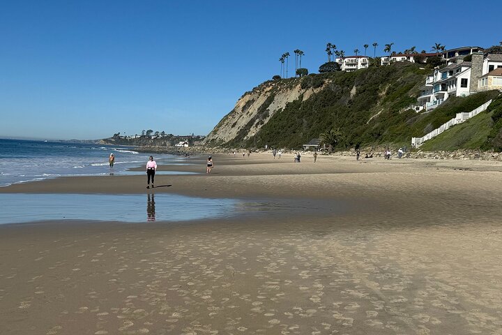 Geführte Küstenwanderung und Ökologietour in Dana Point