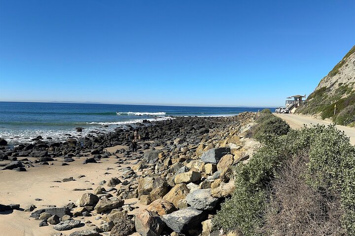 Geführte Küstenwanderung und Ökologietour in Dana Point