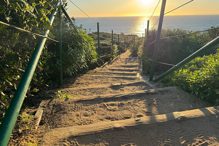 Geführte Küstenwanderung und Ökologietour in Dana Point
