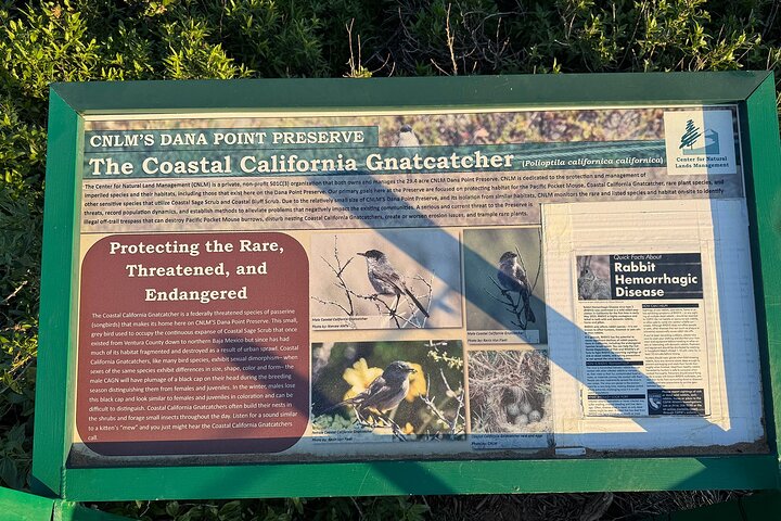 Geführte Küstenwanderung und Ökologietour in Dana Point