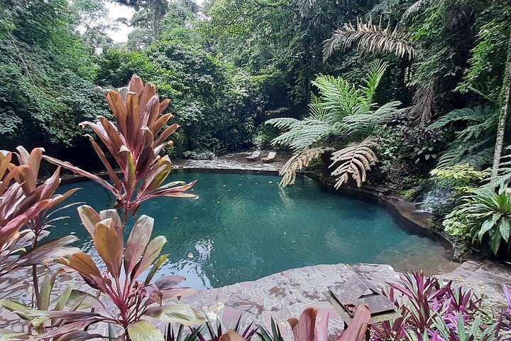 Pagsanjan Falls and Hidden Valley Day Tour with Lunch Included