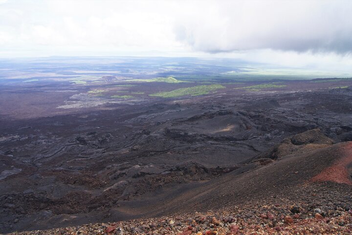Randonnée sur le volcan Sierra Negra : Excursion privée à terre au départ du port Isabela