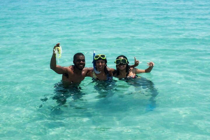 Excursion avec tuba et dauphins sur Shell Island au départ de Panama City Beach