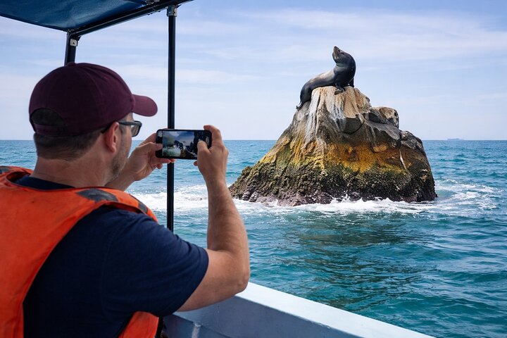 Paseo en barco a El Arco y Playa del Amante con natación