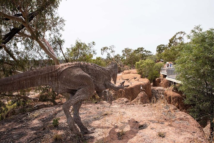 Tour di un giorno intero di Winton Discovery Day da Longreach