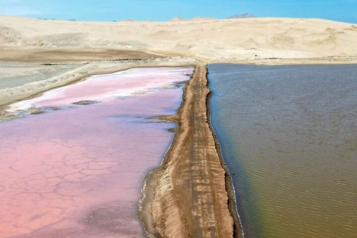 Circuit dans la réserve nationale de Paracas - Halte panoramique à votre rythme