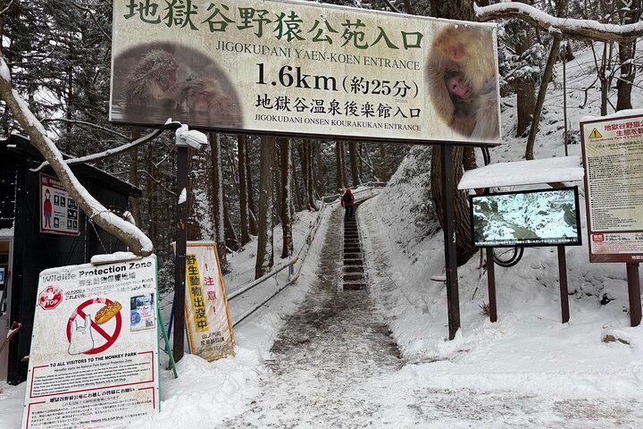 Ontspannen Sneeuwapen & Shibu Onsen : Green Season Privétour