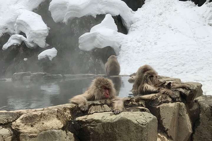 Ontspannen Sneeuwapen & Shibu Onsen : Green Season Privétour