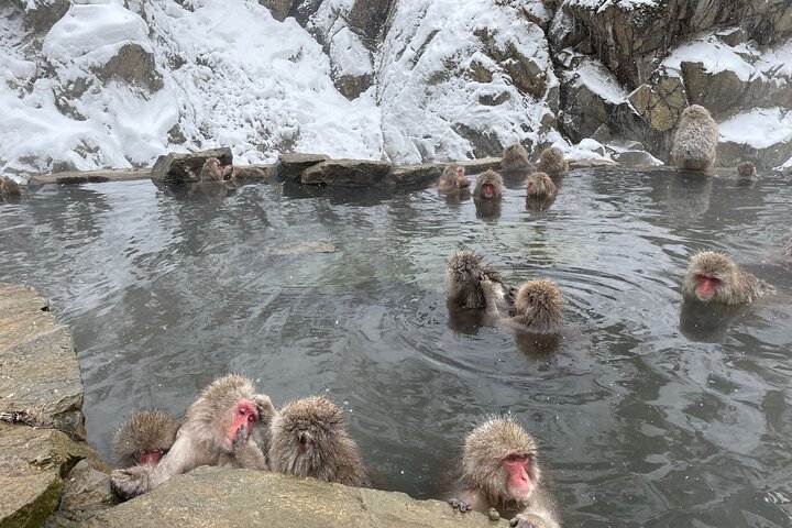 Ontspannen Sneeuwapen & Shibu Onsen : Green Season Privétour
