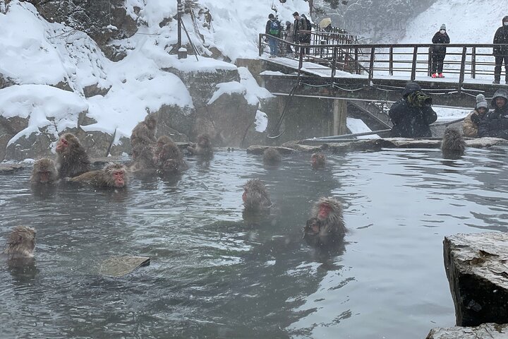 Ontspannen Sneeuwapen & Shibu Onsen : Green Season Privétour