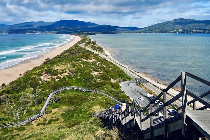 Bruny Island & The Margate Train : Food, Wildlife & Coastal View