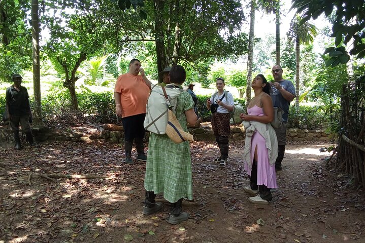 Te Plantation Tour Village Erfaring & madlavning klasse og frokost
