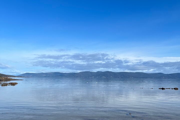 Bruny Island & The Margate Train : Food, Wildlife & Coastal View