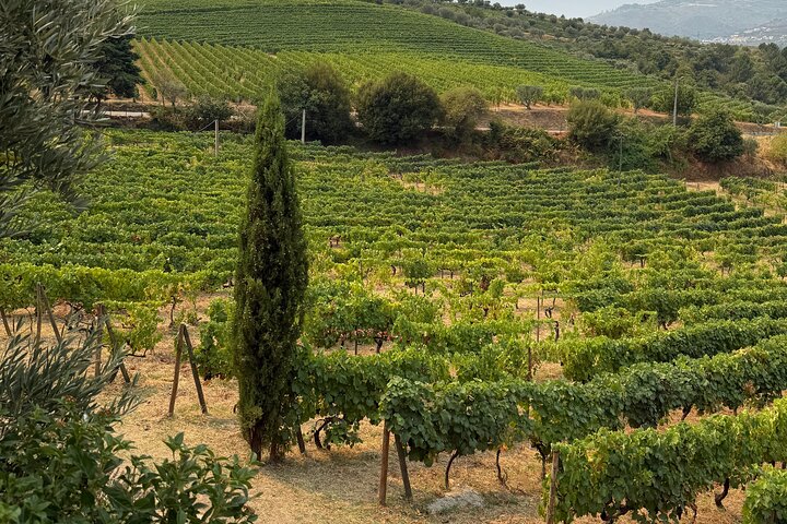Lunch in Douro Valley bij Quinta dos Novais met wijnarrangementen