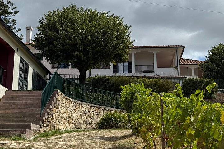 Lunch in Douro Valley bij Quinta dos Novais met wijnarrangementen
