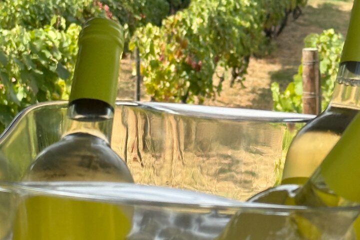 Lunch in Douro Valley bij Quinta dos Novais met wijnarrangementen