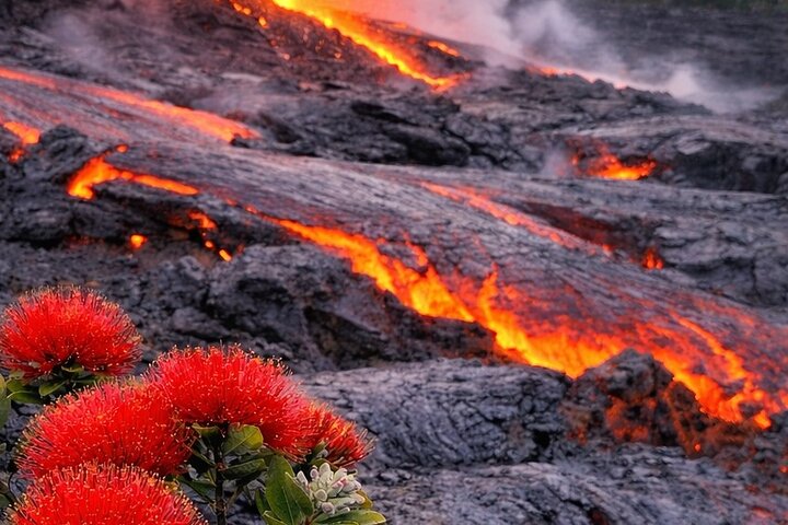 Big Island Scenic Tour : Vulkaan Hilo Town Waterval Strand & Lunch