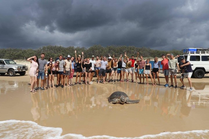 Pippies Aventura de 3 dias/2 noites em K'gari (Ilha Fraser)
