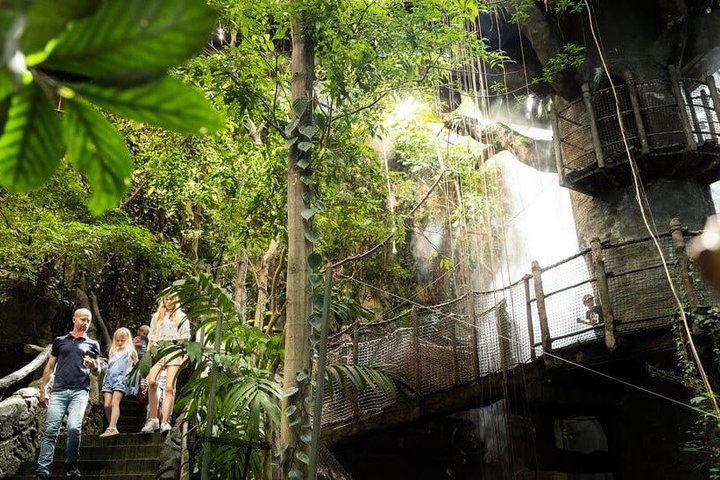 Göteborg Universeum biljett - Akvarium, Vetenskap, Djurliv, Djurpark