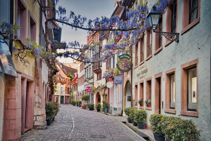 Partindo de Estrasburgo, visite a Floresta Negra em Triberg, Titisee e Freiburg.