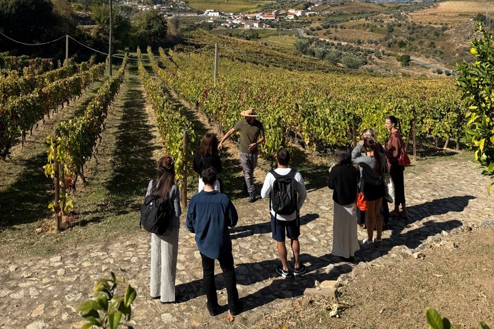 Lunch in Douro Valley bij Quinta dos Novais met wijnarrangementen