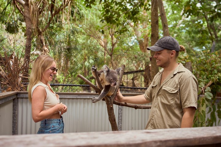Koala e Wildlife Park Scopri gli animali nativi delle Isole Magnetiche