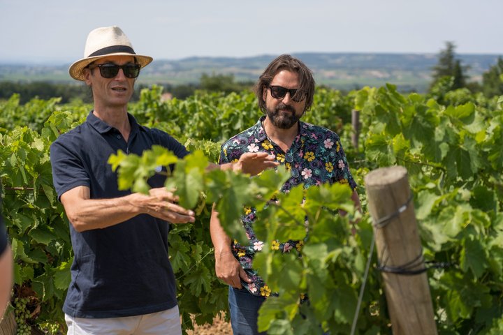 Tour del vino por la tarde a Chateauneuf du Pape desde Aviñón