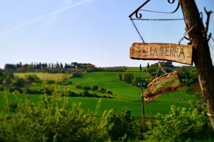Montepulciano: Pasta & Tiramisu klasse i et lokalt hjem av Cesarine