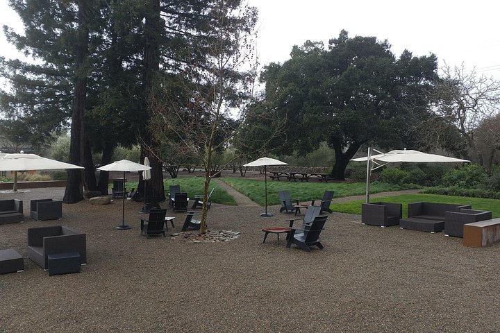6 hour Luxury Sedan / SUV Private Wine Tour Napa or Sonoma Valley