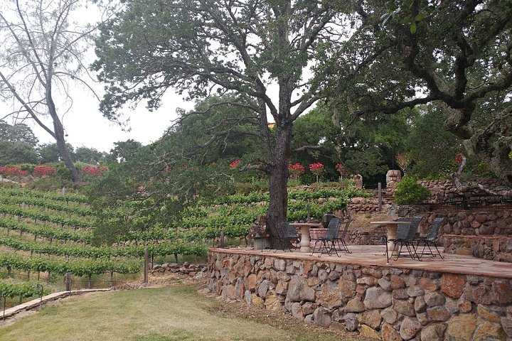 6 hour Luxury Sedan / SUV Private Wine Tour Napa or Sonoma Valley