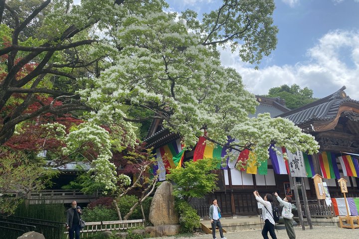 Privé Boeddhistische Tempel Ritueel & Soba Tour – Tokio bij Jindaiji