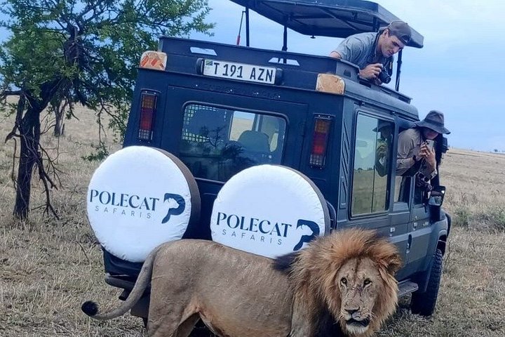 2-dagers privat luksussafari: Tarangire og Ngorongoro Tanzania