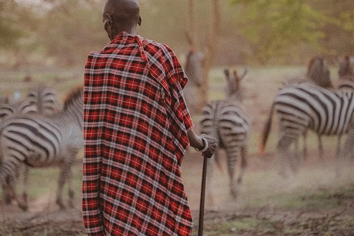 2-dagers privat luksussafari: Tarangire og Ngorongoro Tanzania