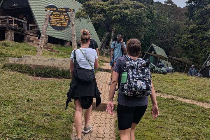 Experiencia de un día en el Kilimanjaro por KILITA SAFARIS