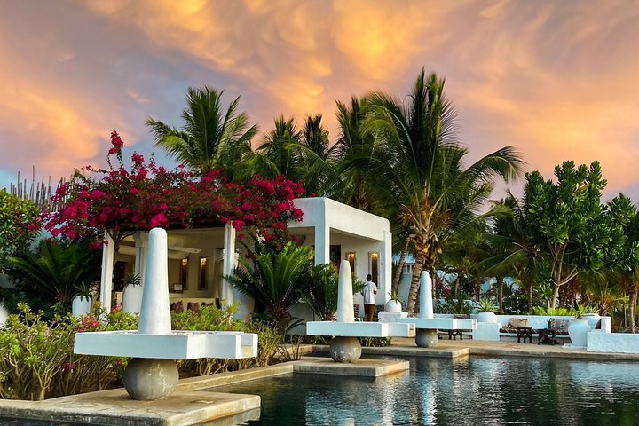 Pemba : 5 dagen pure gelukzaligheid op het verborgen groene paradijs van Zanzibar