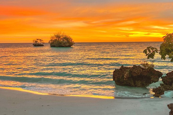Pemba : 5 dagen pure gelukzaligheid op het verborgen groene paradijs van Zanzibar