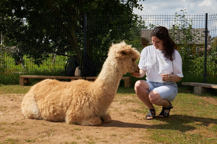 Privétour door Trakai en Alpaca Family Park