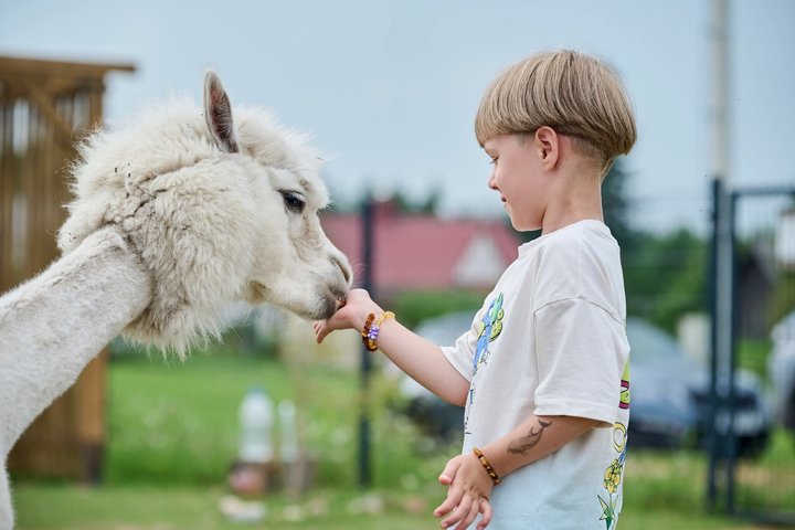 Privétour door Trakai en Alpaca Family Park