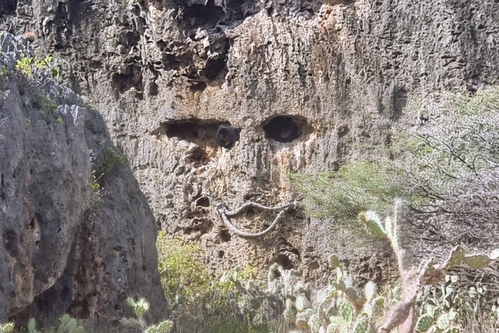 West Curaçao ATV Tour : Deserto & Cave - Flamingo - Tartarughe...
