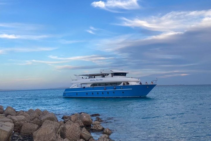 Hurghada: VIP Seafood Yacht till 3 öar, delfiner och snorkling