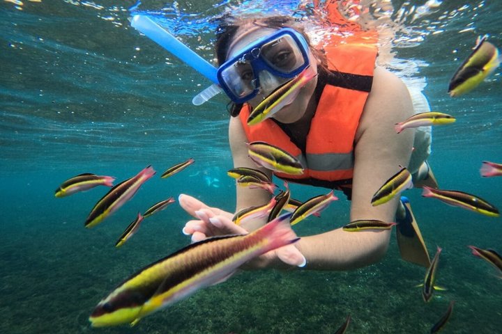 Privat tur till 7 lokala vikar i Huatulco + GRATIS SPORTFISKNING