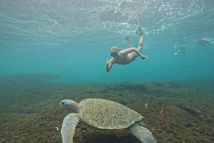 Privat tur till 7 lokala vikar i Huatulco + GRATIS SPORTFISKNING