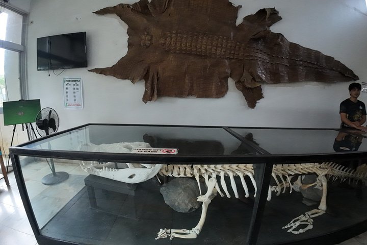 Tour della città di Puerto Princesa 2in1 con escursione turistica al museo