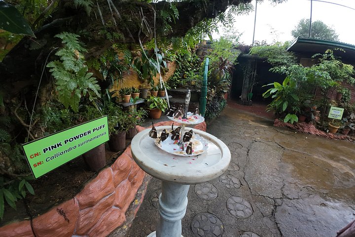 Tour della città di Puerto Princesa 2in1 con escursione turistica al museo
