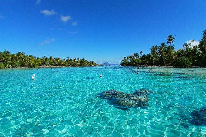 Raiatea Tahaa 1/2 dag koralhave snorkling / cruise venligt