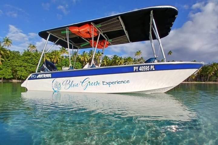 Raiatea Tahaa 1/2 dag koralhave snorkling / cruise venligt