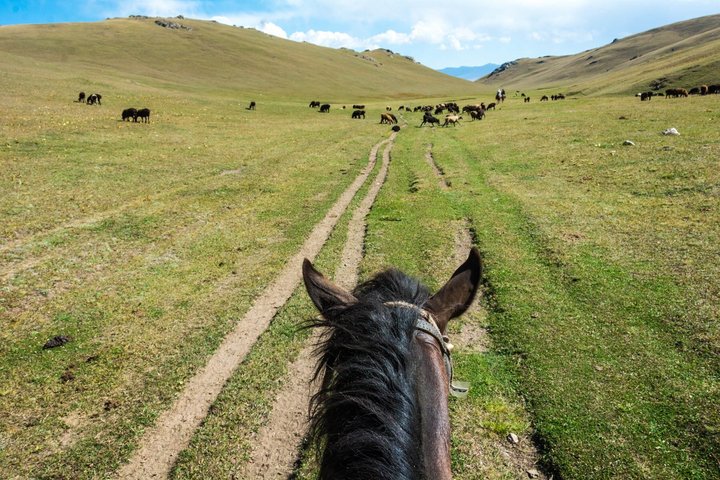 Aventure toute l'année : randonnée à cheval de 3 jours jusqu'au lac Song Kul