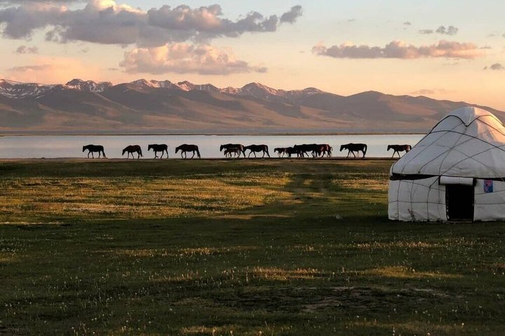 Aventure toute l'année : randonnée à cheval de 3 jours jusqu'au lac Song Kul