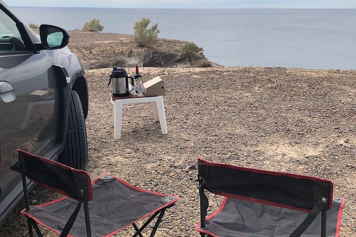 Escursione Circuito Sud - Il meglio di Puerto Madryn per le CROCIERE