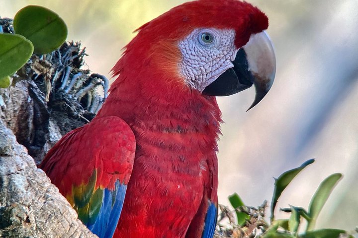 Corcovado National Park LA LEONA Ranger Station Full Day Tour